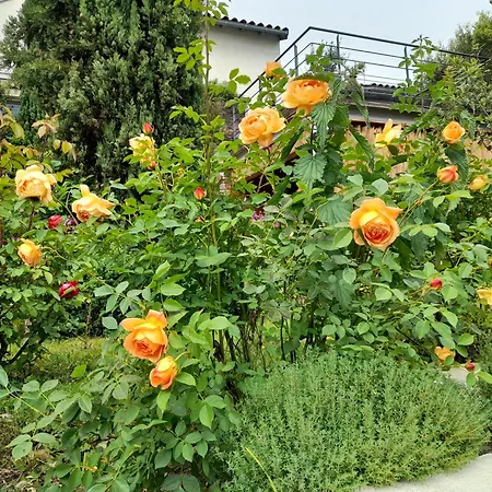 Chez Anne Et Aimé *